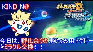 【ポケモンUSUM】今日は、孵化余りのトゲピーの残りをミラクル交換で送ります【初見さん歓迎】【配布】