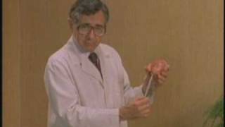 Silent Scream - Excerpts from the Classic Film - Dr. Bernard Nathanson