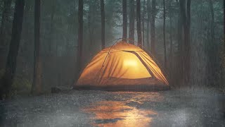 Relaxing Rain Sounds on Tent in Forest - Sleep, Study, \u0026 Stress Relief\