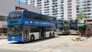 Hong Kong Bus KMB 3ATENU166 @ 269D 九龍巴士 Alexander Dennis Enviro500 MMC New Facelift 瀝源 - 天富