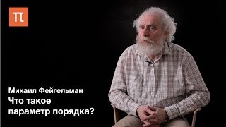 Теория фазовых переходов — Михаил Фейгельман