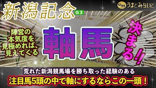 【新潟記念 (G3) 2022】サマー2000シリーズの最終戦！優勝馬から7頭シリーズチャンピオンが輩出されたレース！陣営の本気度を分析すれば勝利する馬が見えてくる。