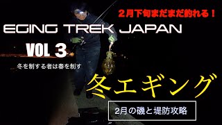 冬エギング　２月下旬まだまだ釣れる！【冬を制する者は春を制す】