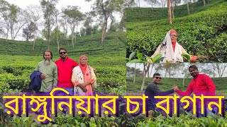 Tea Estate, Rangunia, Chattogram || রাঙ্গুনিয়ার চা বাগান, চট্রগ্রাম।