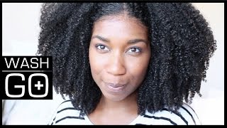 My MOST DEFINED Wash and Go | Easy Technique - Naptural85