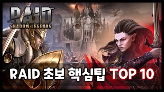 RAID 101 | 초보자 가이드 영상 | 1타법사