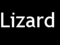 How to Pronounce Lizard