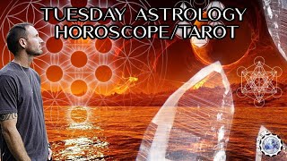 Tuesday Astrology Horoscope/Tarot December 24th 2024 (All Signs)