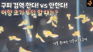 고정구피 ㅡ 검역해야하는 경우와 검역약품 검역방법 ~~  총정리 ~~