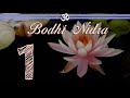 Bodhi Nidra 1 of 4: Absolute Physical Relaxation and Stillness (Remasterd for No Ads)