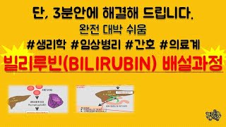 빌리루빈 대사 /간호과 국가고시 / 임상병리 국가고시 /Bilirubin metabolism