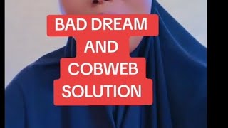 STOP BAD DREAM .AND CUBWEB