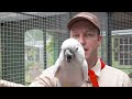 der nxplorer auf tour – episode 07 solinger vogel und tierpark