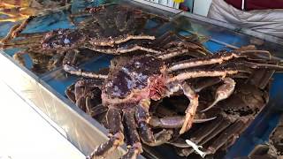 부산기장시장 대게 snow crab Gijang market Busan Korea