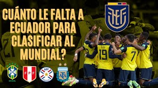 Cuánto le falta a Ecuador para clasificar al Mundial? - Análisis y probabilidades Eliminatorias 2022