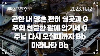 곤한 내 영혼 편히 쉴곳과 G → 주의 친절한 팔에 안기세 G - 주님 다시 오실때까지 Bb → 마라나타 Bb | 분할 연주 | 2023-11-12 | 분당우리교회