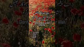 Surah Al- Aala With Urdu Translation #HolyQuran #QuranPak #SurahAlAala #Islam