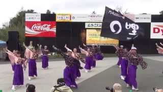 2015川棚温泉まつり舞龍祭 門司よさこい連　〇哩