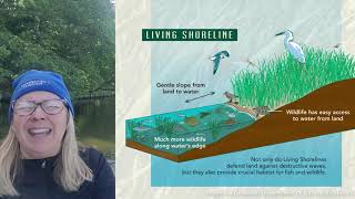 Living Shorelines