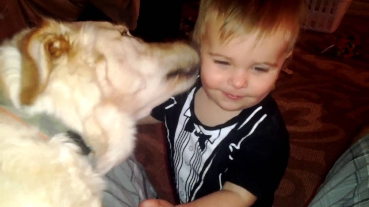 Puppy Love Youtube