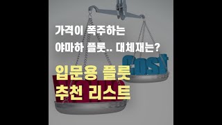 물건도 없고 가격까지 폭증? 보급형 야마하 플룻 대체할 수 있을까요? -1