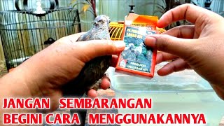 5 MANFAAT JAMU LARASATI UNTUK BURUNG PERKUTUT DAN CARA MENGGUNAKANNYA