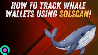 Tracking Crypto Whales with Solscan Made Easy!