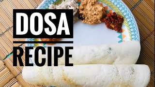 Crispy Masala Dosa - Vegan Recipe