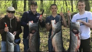 Giant Prehistoric Paddlefish (Spoonbill) Fishing