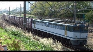 JR貨物列車【5087レ】 EF65-2050[新]号機 2013.10.12