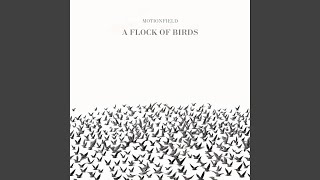 A Flock Of Birds part two