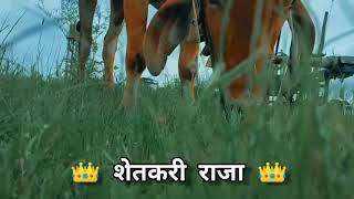 काळ्या आईची करणी तिला लेकराची माया । katha aai chi karni tila शेतकरी  WhatsAap status |ajay gogavale