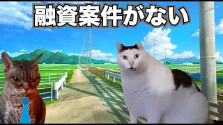 銀行の初転勤で田舎の支店に飛ばされた話【猫ミーム】【地方銀行】