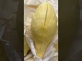 Durian Thai Fruit