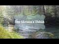 The Motans x EMAA - Insula  - cu  versuri