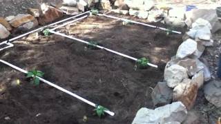 PVC Garden 2011