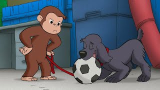 ジョージのサッカー犬 🐵 おさるのジョージ