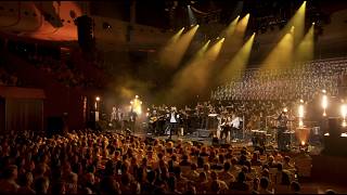 The Cat Empire - Brighter Than Gold (Live at Sydney Opera House) (Official Live Video)