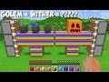 I can COMBINE BIGGEST RAINBOW GOLEM and RAINBOW WITHER in Minecraft ! GOLEM + WITHER = ????