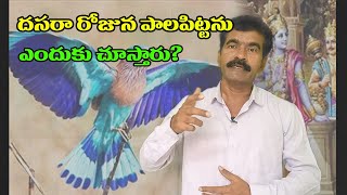 దసరా రోజున పాలపిట్టను ఎందుకు చూడాలి? || Why do we see Blue Jay on Dasara? || Thriram official