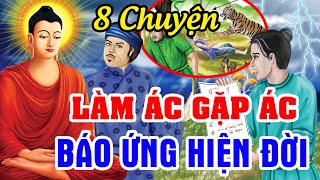 8 Chuyện Làm Ác Gặp Ác, Báo Ứng Hiện Đời...Gieo Nhân Nào Gặt Quả Nấy | Chuyện Nhân Quả Hay Nhất 2024