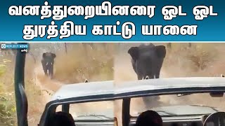 வனத்துறையினரை துரத்திய யானை | Wild Elephants Chasing Jeep | Elephant | Elephant Attack