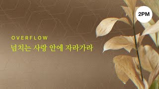 Join us LIVE | 혜성교회 청년부 2시 예배 | 2025. 2. 23.