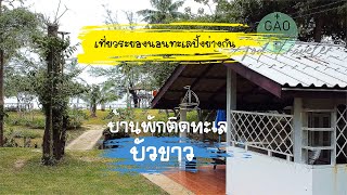 บ้านพักติดทะเล  บ้านบัวขาว บ้านพักติดทะเลหาดส่วนตัวระยอง ทางไปแหลมแม่พิมพ์