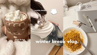 winter break vlog: big lewkin haul, christmas vibes, cozy, good food 🦌