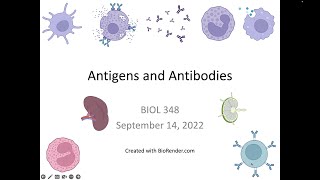 Immunology Fall 2022: Lecture 7 Antigens and Antibodies