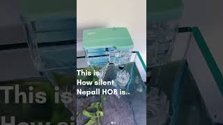 Hear this👂This is how silent NEPALL Hang on back filter is | Yee Hang on back aquarium filter