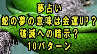 夢占い蛇の夢の意味は金運UP？破滅への暗示？10パターン