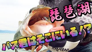 琵琶湖　いいポイントを直撃したら釣れたよ！　南湖おかっぱり　バス釣り