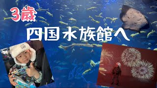 【3歳】冬の花火に大興奮😆四国水族館へ🐟成長記録